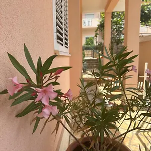 Zlatka Trogir
